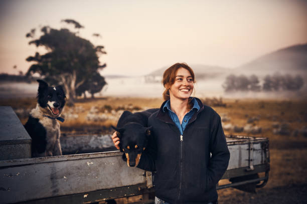 Happiness is farm made stock photo