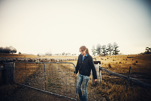 Shot of a young woman standing at a farm gate with a flock of sheep in the backgroundung woman on her farm