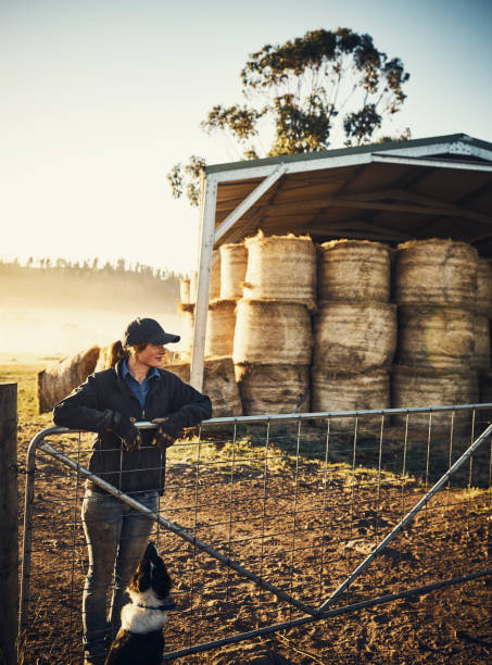istock Queen of the countryside 832988328