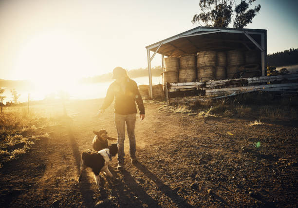 istock Living the country dream 832988336
