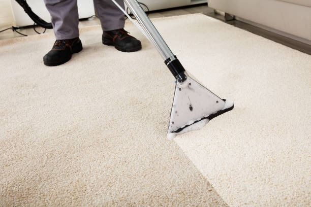 Person Cleaning Carpet With Vacuum Cleaner Close-up Of A Person Cleaning Carpet With Vacuum Cleaner rug stock pictures, royalty-free photos & images