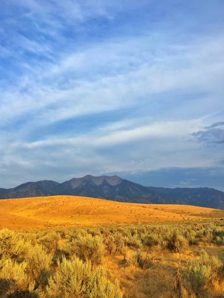 istock Beautiful landscape in Utah, USA 833027504