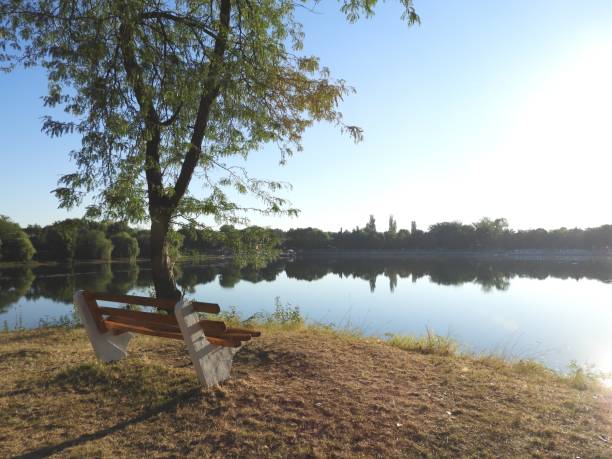istock Bench on the lake Bela Crkva 833048880