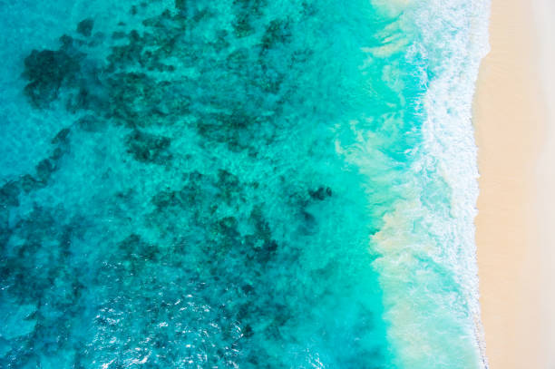 istock directly high above tropical sea and sand beach 833056364