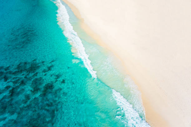 istock aerial view sandy beach and tropical sea 833056462