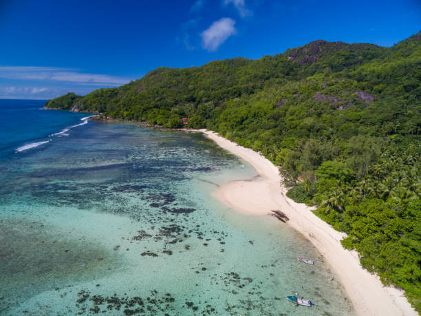 istock aerial view tropical island beach lagoon on sunny day 833056556