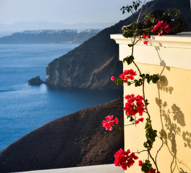 istock Sea view from Santorini, Greece. Red flowers on yellow wall 833065016