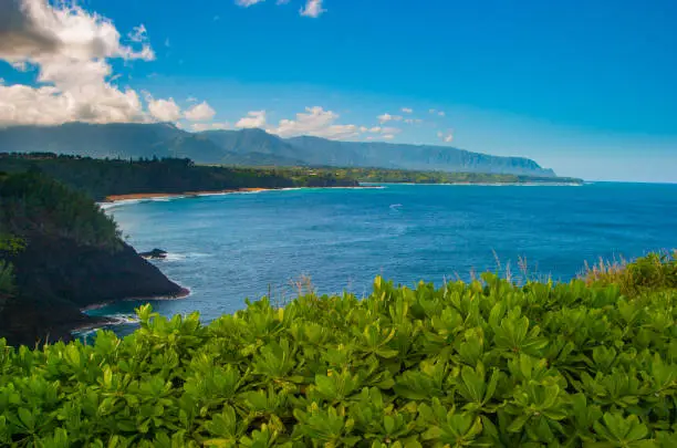 Photo of Panoramic view of the north shore of Kauai from Kilauea Point, Hawaii with the Na Pali coast in the background