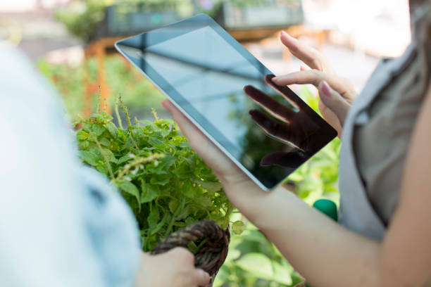istock Digital tablet in florist's hands 833070564