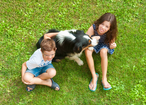 istock Children sitting on grass with their dog 833092028