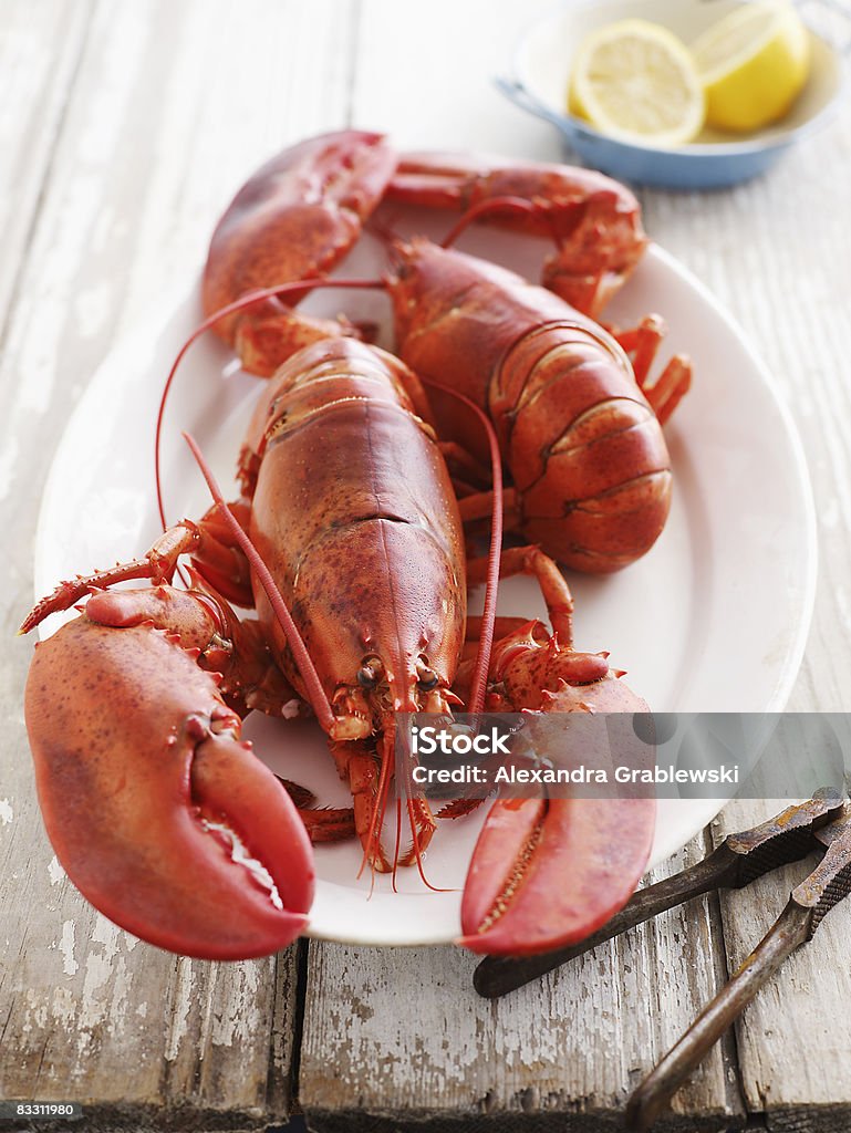 Whole Lobster  Lobster - Seafood Stock Photo