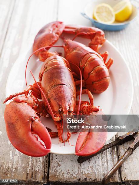 Whole Lobster Stock Photo - Download Image Now - Lobster - Seafood, Claw, Plate