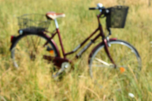 istock The bicycle stands in the straw field blurred 833119828