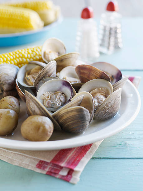 Clam Bake with corn on the cob  clam animal stock pictures, royalty-free photos & images