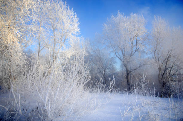 istock winter, winter-tide, winter-time 833128918