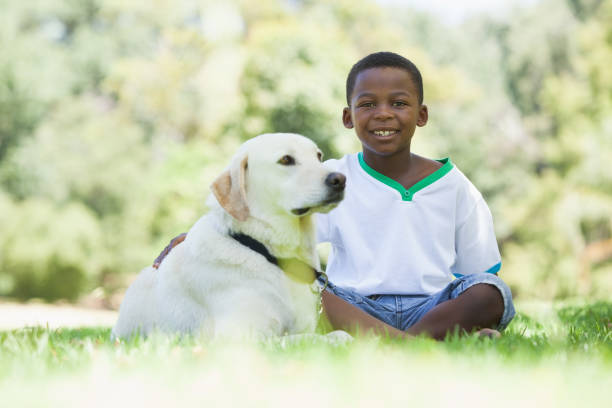 istock Little boy sitting with his pet labrador in the park 833142668