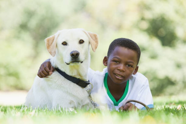 istock Little boy lying with his pet labrador in the park 833142744