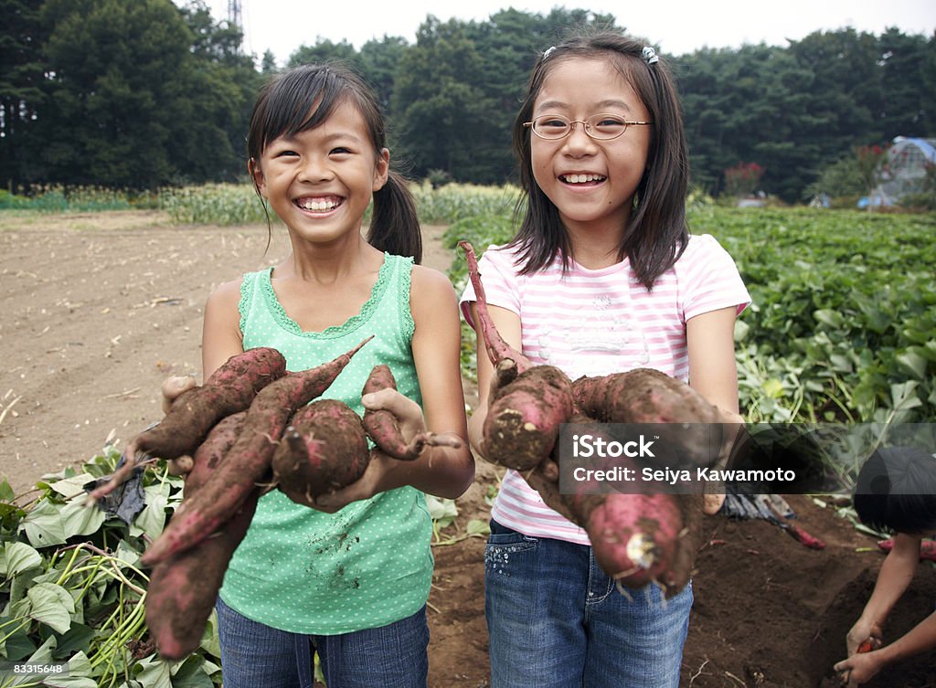 Japanese girls holding sweet potatoes  Child Stock Photo