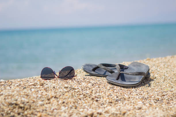istock It is time for swimming at the beach 833170206
