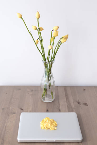 istock Laptop and Yellow tulips in vase 833210212