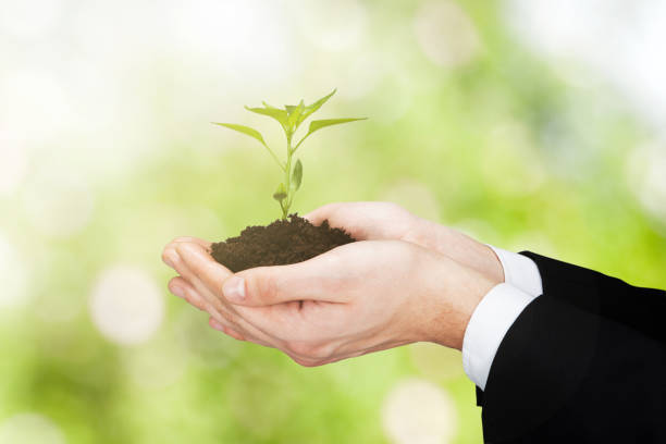 istock Businessperson Holding Plant 833211152