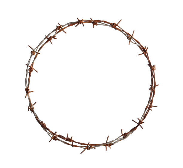 Barbed wire circle Barbed wire circle isolated on white background rusty barbed wire stock pictures, royalty-free photos & images