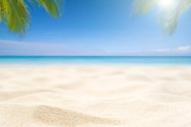 istock Sand beach and Beautiful sea background in summer. 833220848