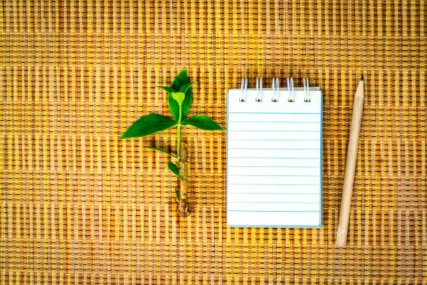 istock Notepad with pencil  on wood board background. using wallpaper or background for education, business photo. Take note of the product for book with paper and concept or copy space. 833226368