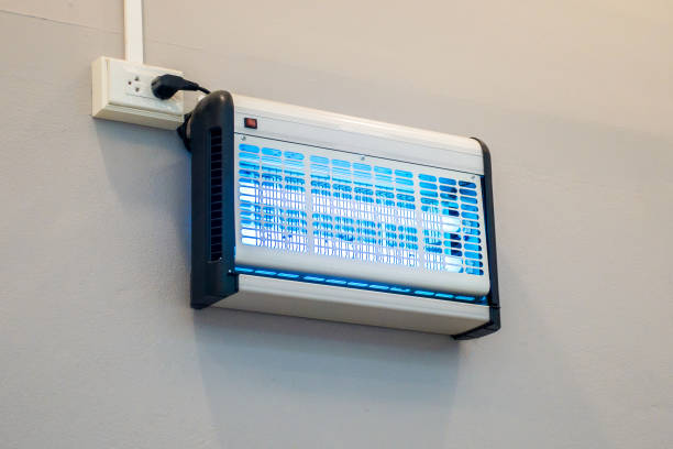 istock Electric mosquito trap inside the building 833229318