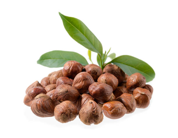 istock Heap of Hazelnut with Leaves Isolated 833241420