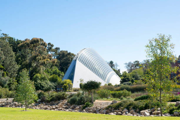 백 음악원, 애들레이드 식물원, 사우스 오스트레일리아 - bicentennial 뉴스 사진 이미지