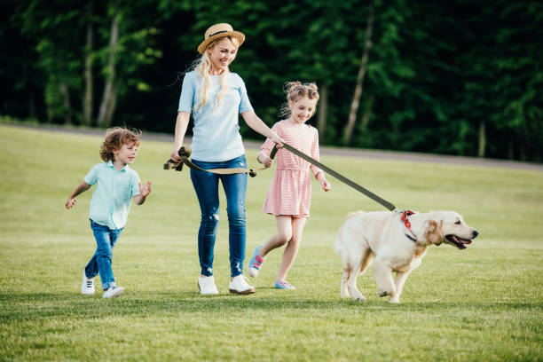 istock happy young mother with adorable kids and dog walking in park 833247708