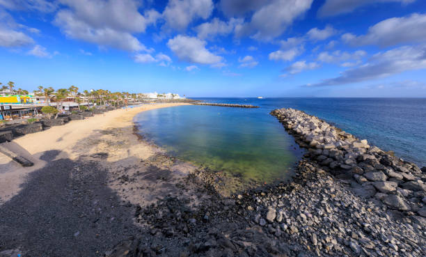istock Playa Flamingo in Lanzarote 833252152