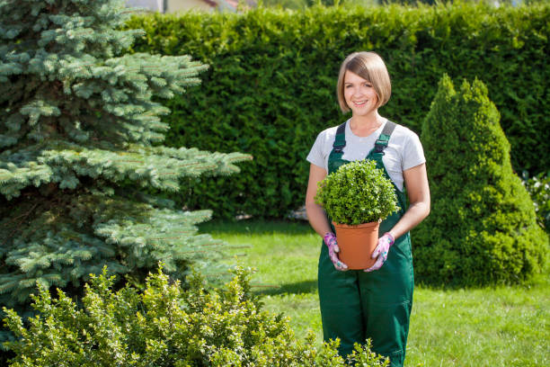 istock Young smiling woman working in the garden. 833252622