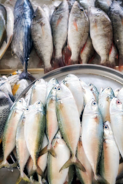 istock Fresh sea fish at the fish market 833253018