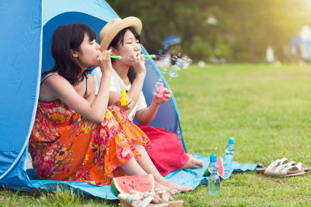 istock Two Women Enjoying Blowing Bubbles In Summer 833273286