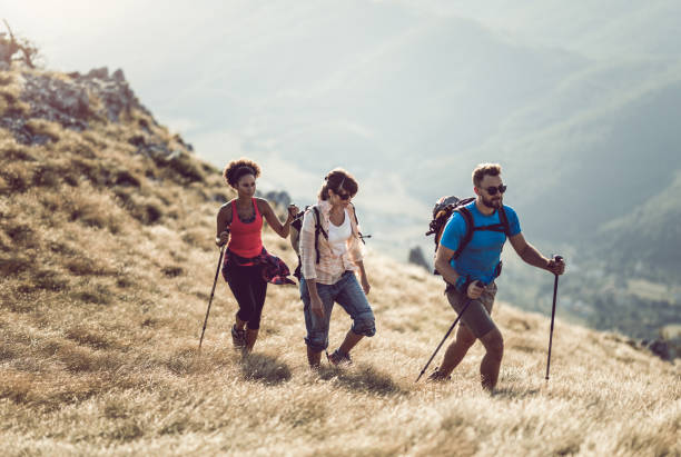 istock Group of People Hiking 833281876