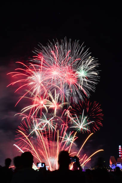 istock Singapore's National Day Fireworks 833281974