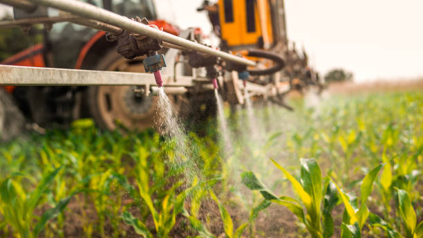 Crop sprayer Crop sprayer spraying pesticides on crops in field. crop sprayer stock pictures, royalty-free photos & images