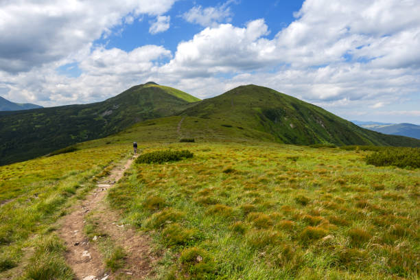 istock touristic way among a green mountains 833287482
