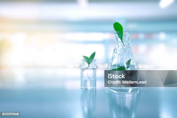 Clear Water In Glass Flask And Vial With Natural Green Leave In Biotechnology Science Laboratory Background Stock Photo - Download Image Now