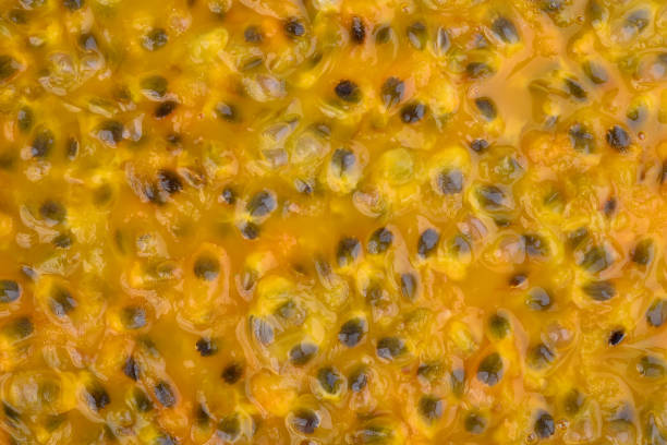 istock close up of passion fruit juice texture for abstract or background 833295674