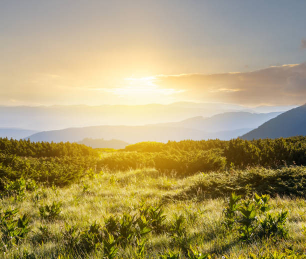 istock green mountain valley at the sunset 833295774