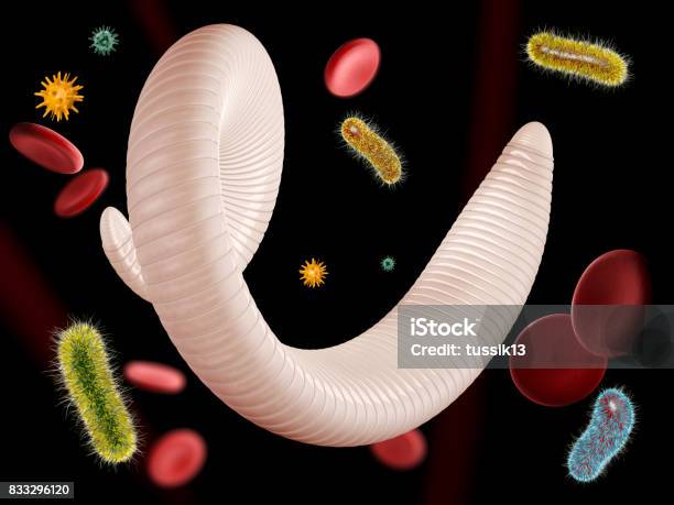 3d Illustration Of Helminth With Virus And Blood Cells Stock Photo - Download Image Now