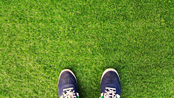 istock Sports shoes on artificial grass . 833296656
