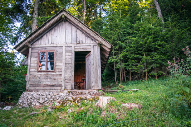istock Old wooden house in the forest. 833304364