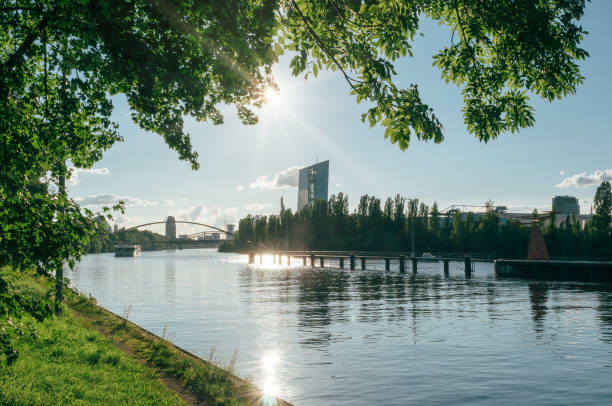 istock Frankfurt am Main during a Sunny Evening 833304684