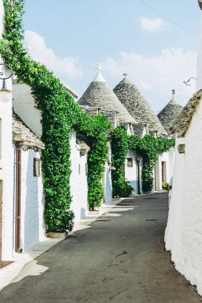 Alberobello, Puglia, Italy, view and detail of trulli house roof Alberobello, Puglia, Italy, view and detail of trulli house roof with green plants and blue sky in background alberobello stock pictures, royalty-free photos & images