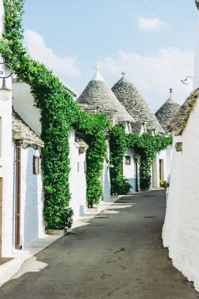 Alberobello, Puglia, Italy, view and detail of trulli house roof with green plants and blue sky in background