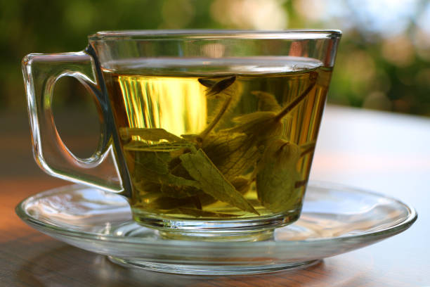 tisana a base di salvia fresca - leaf cup breakfast drink foto e immagini stock